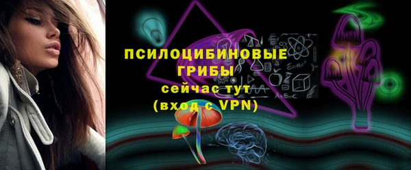 альфа пвп Горнозаводск