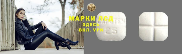 дживик Горняк