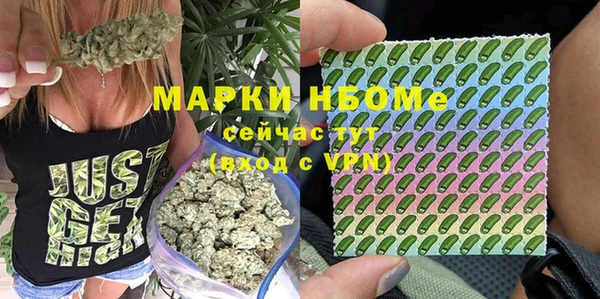 дживик Горняк